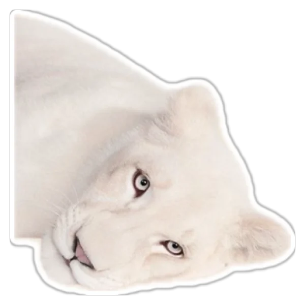 08a953d7-8ca2-4c62-8ab0-17e6f098e97e 08a953d7-8ca2-4c62-8ab0-17e6f098e97e