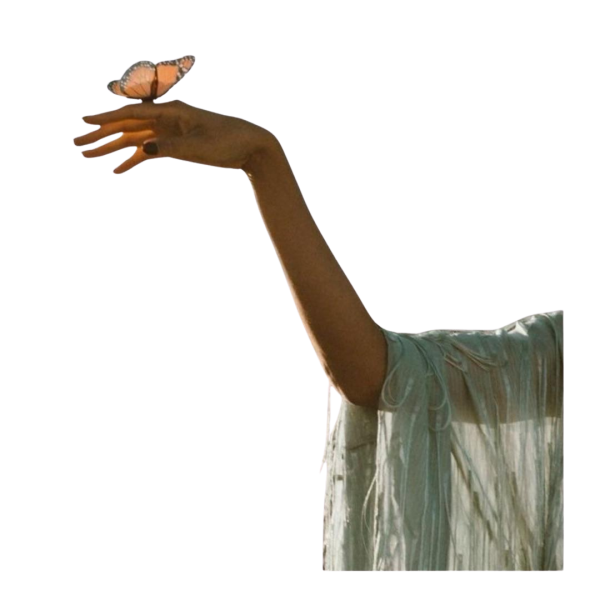 Untitled design (16) Untitled design (16)